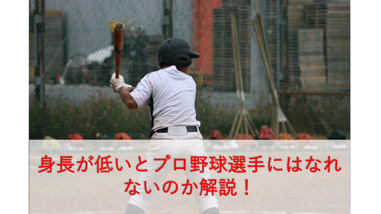 野球は身長がすべて 身長が低いとプロ野球選手になれる可能性は下がるのか解説 タカシの野球夢追い人ブログ