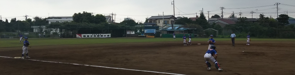 朝日旗争奪関東団地少年野球大会の様子